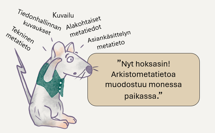 Piirroshiiri kertoo hoksanneensa että arkistometatietoa muodostuu monessa paikassa. Muun muassa kuvailussa, asiankäsittelyssä, tiedonhallinnan kuvauksissa ja alakohtaisesti.